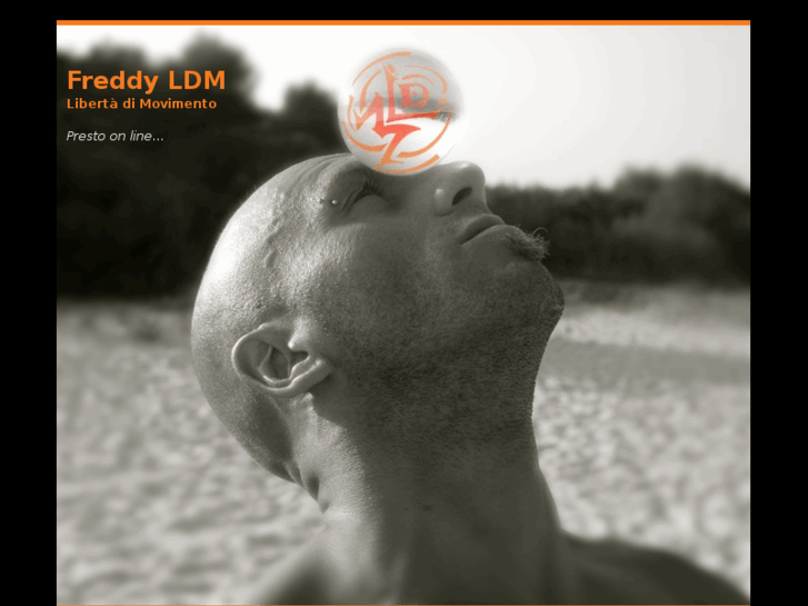 www.freddyldm.com