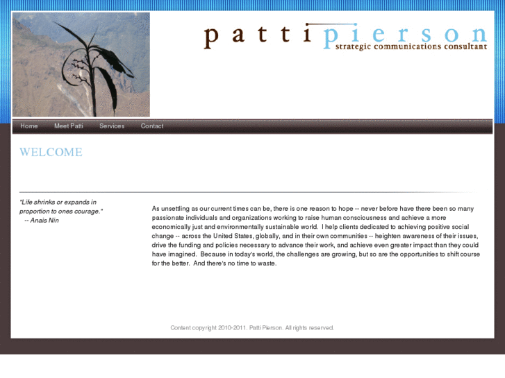 www.pattipierson.com