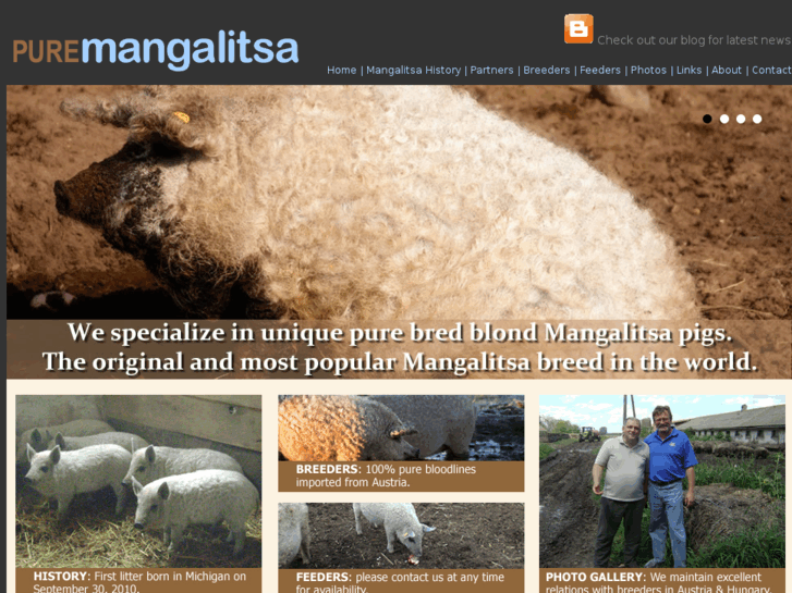 www.puremangalitsa.com