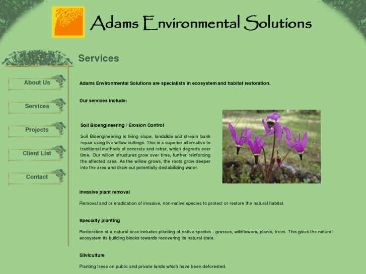 www.adamsenvironmentalsolutions.com