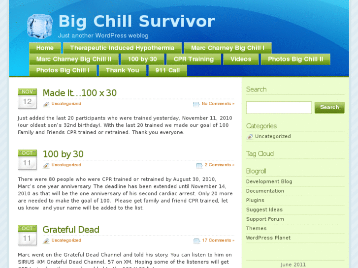 www.bigchillsurvivor.com