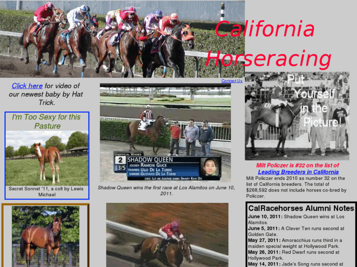 www.calracehorses.com