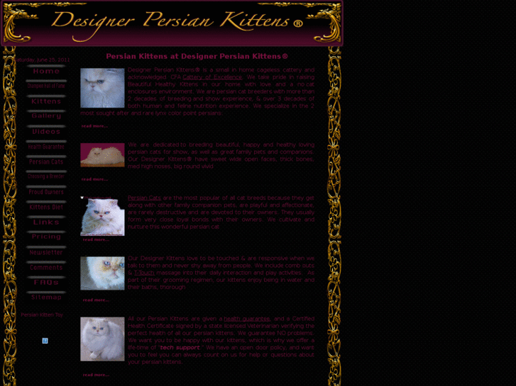 www.designerpersiankitten.com