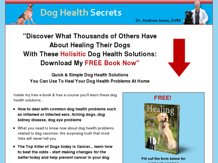 www.doghealthsolution.com