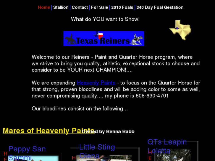 www.texasreiners.com