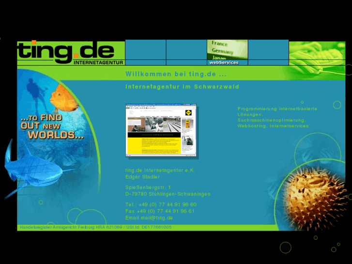www.ting.de