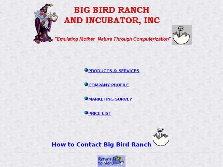 www.bigbirdusa.com