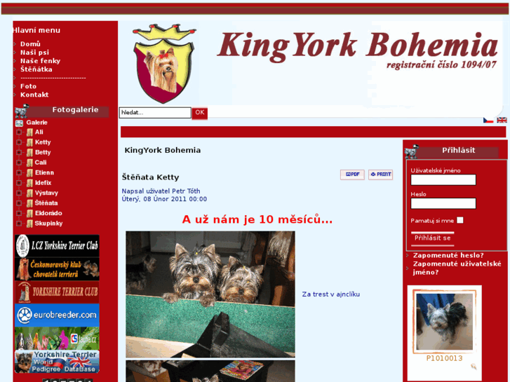 www.kingyork.cz