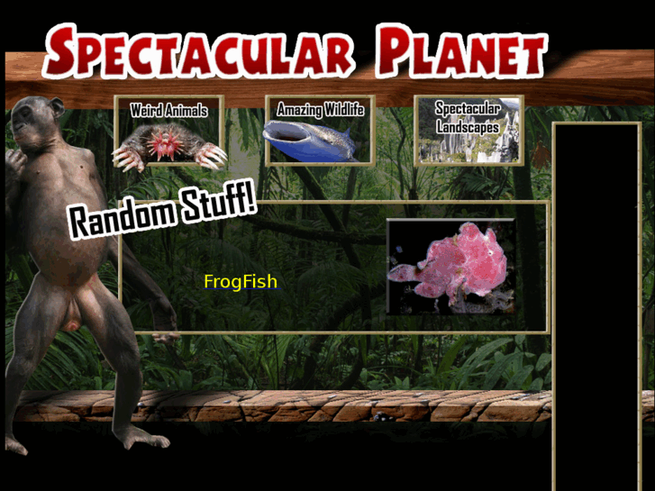 www.spectacularplanet.com