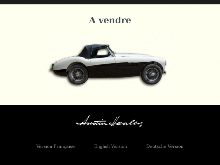 www.austin-healey-the-handsome-brute.com