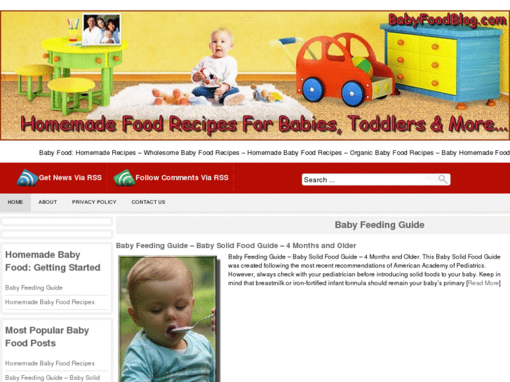 www.babyfoodblog.com