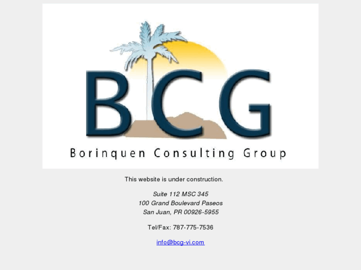 www.bcg-vi.com