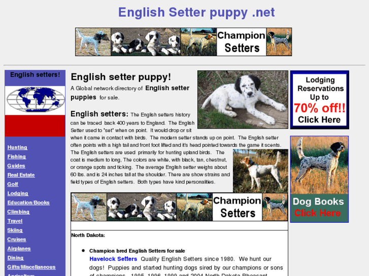 www.englishsetterpuppy.net