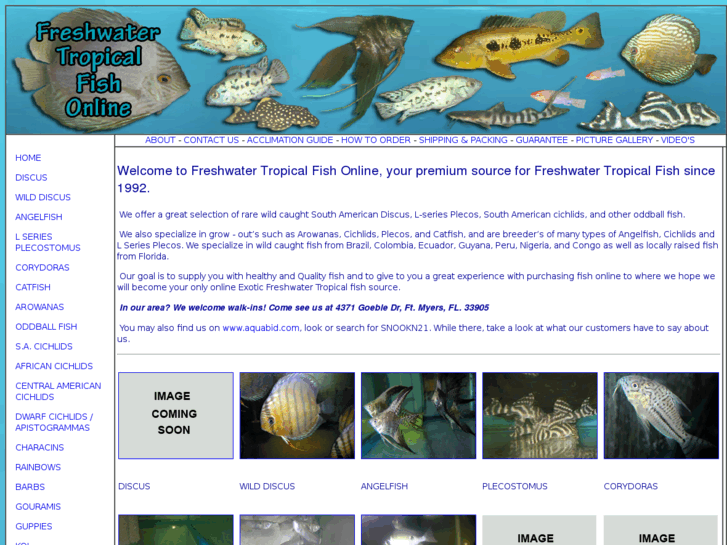 www.freshwatertropicalfishonline.com