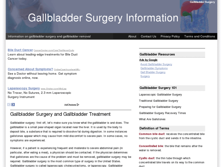 www.gallbladdersurgeryinfo.com