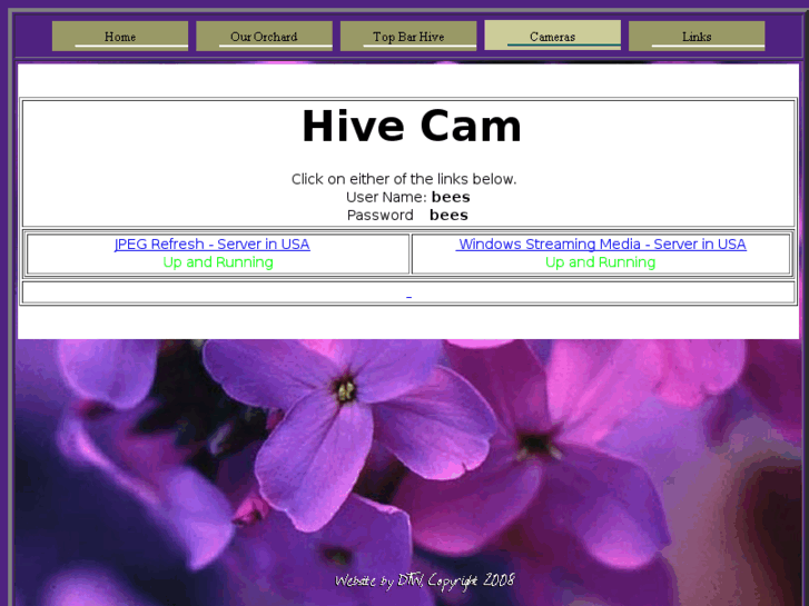 www.hivecam.com