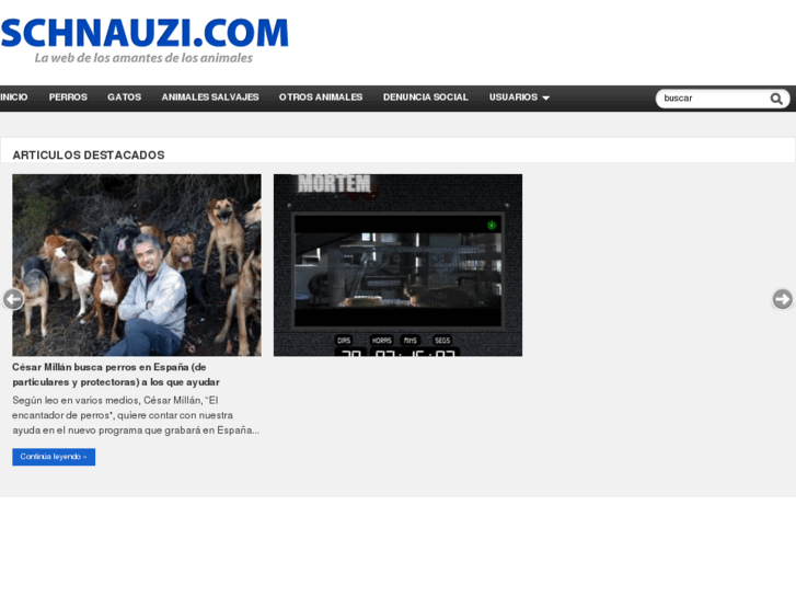 www.schnauzi.com