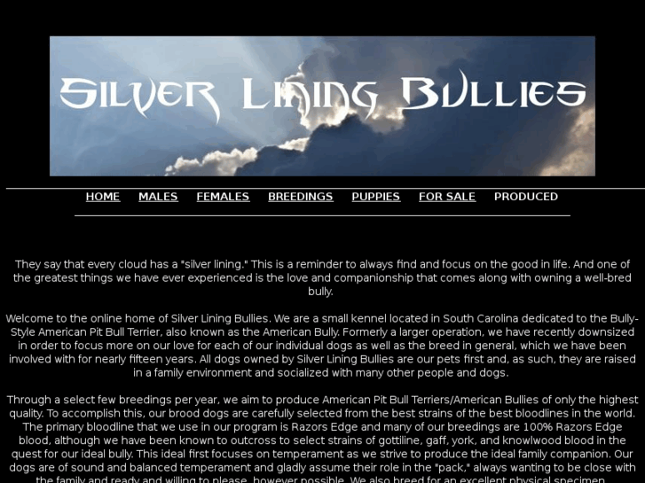 www.silverliningbullies.com