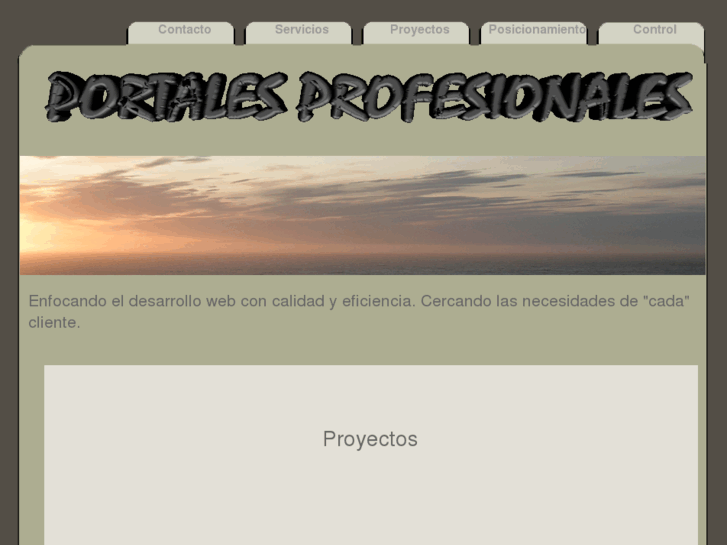 www.websprofesionales.net