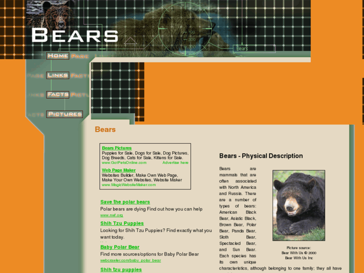 www.bears-bears.org