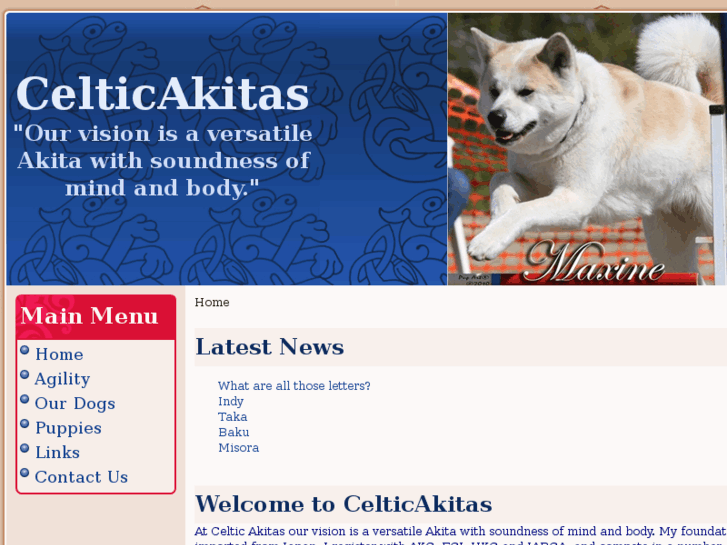 www.celticakitas.com