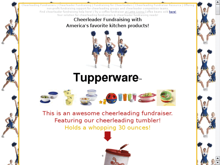 www.cheerleading-fundraiser.com