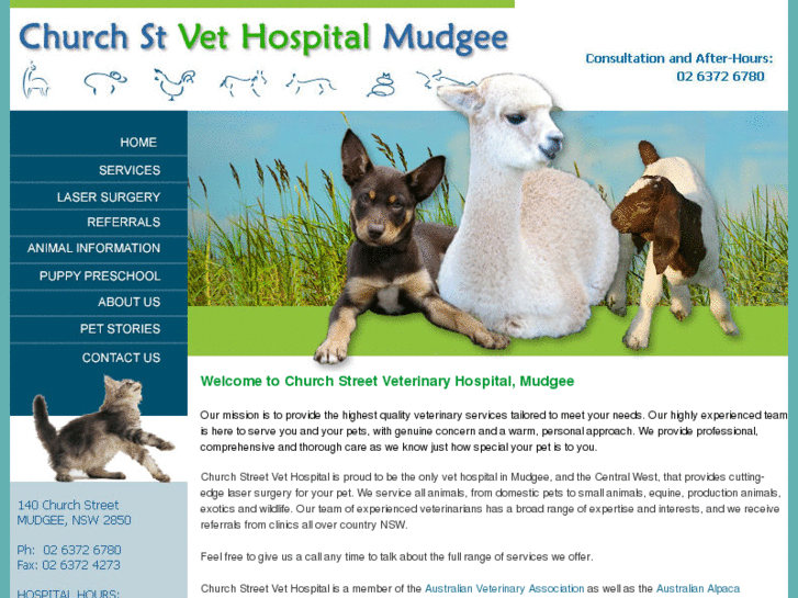 www.churchstreetvets.com.au