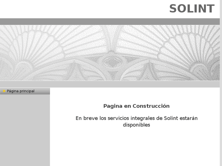 www.solint.es