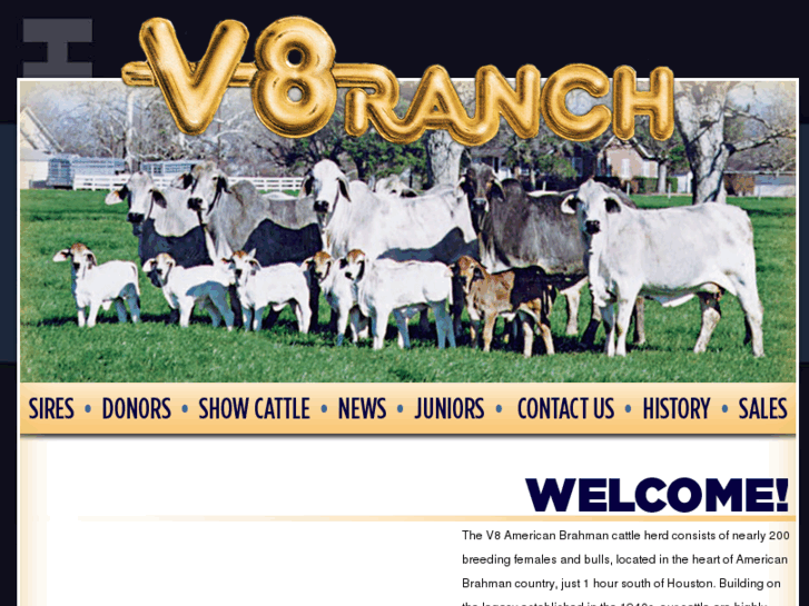 www.v8ranch.com