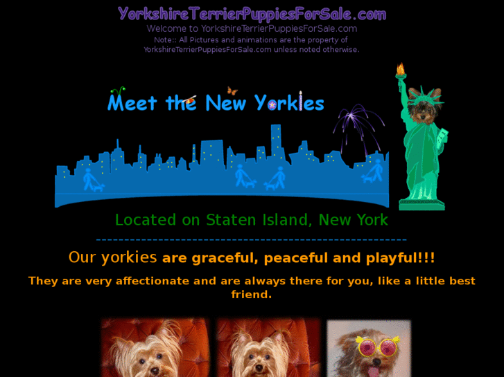 www.yorkshireterrierpuppiesforsale.com