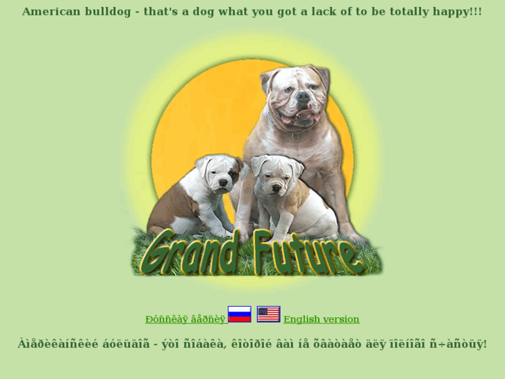 www.ambulldog.ru