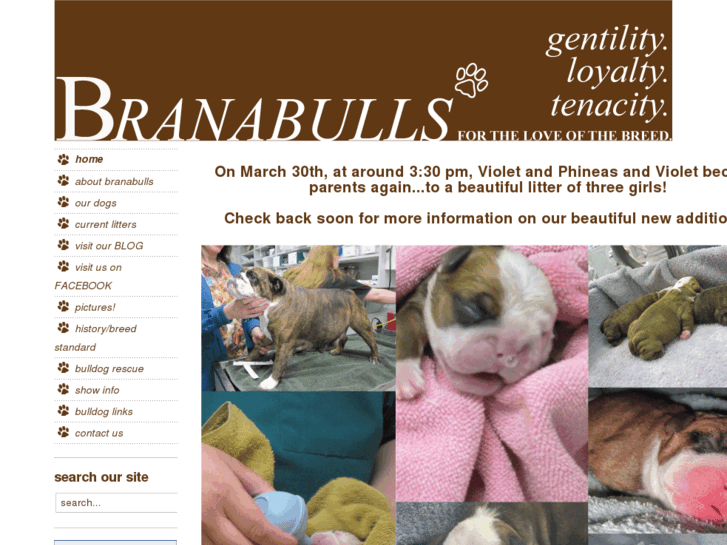 www.branabulls.com