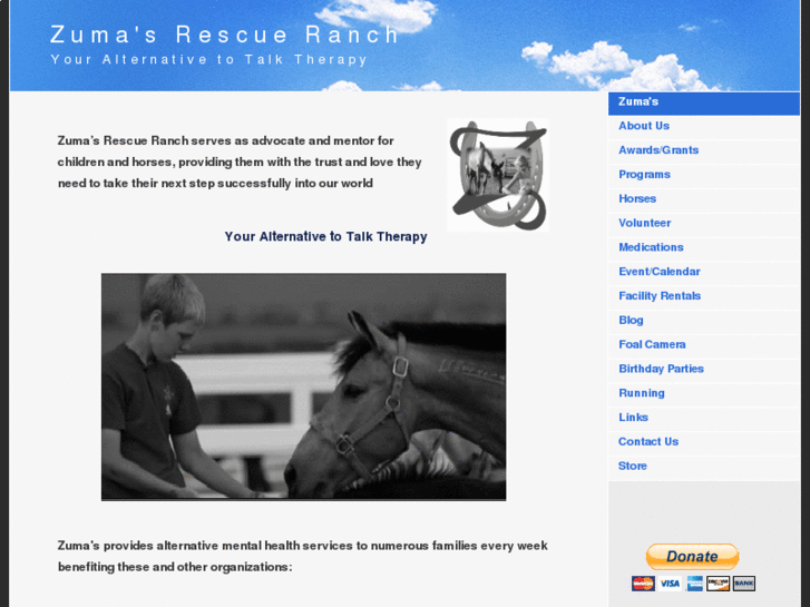 www.childrensridinglessons.com