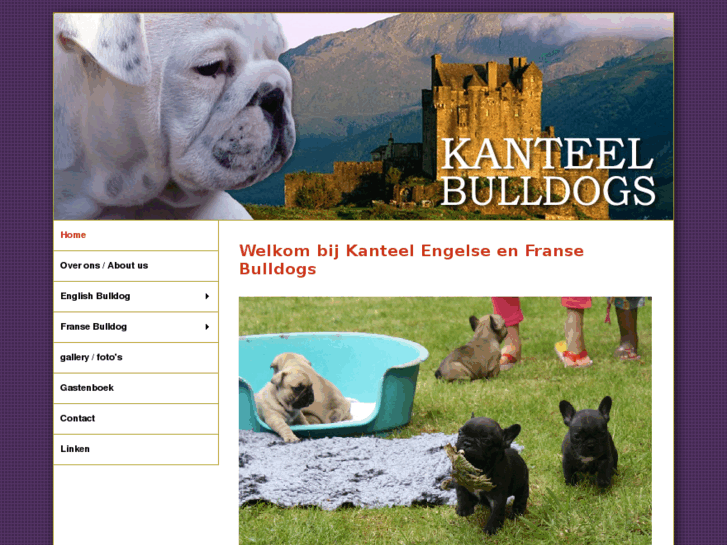 www.kanteel-bulldogs.com