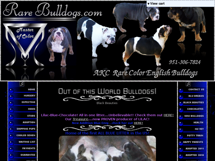 www.rarebulldogs.net