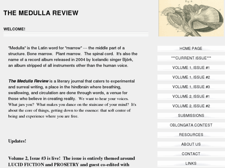 www.themedullareview.com