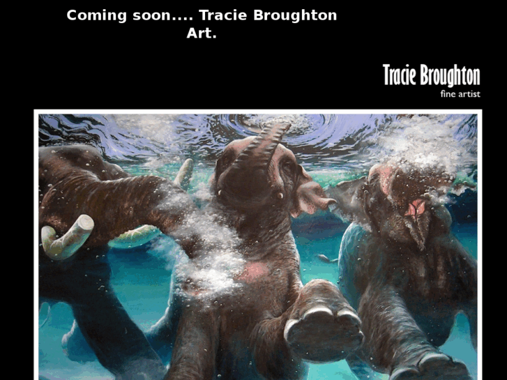 www.traciebroughton.com