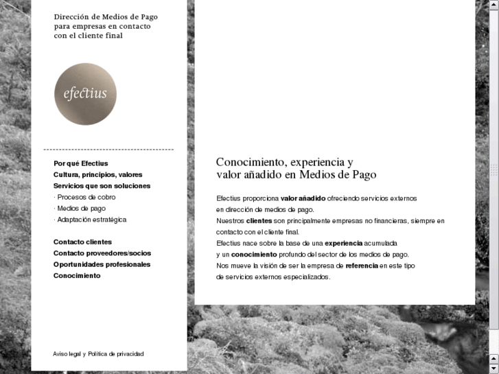 www.efectius.es