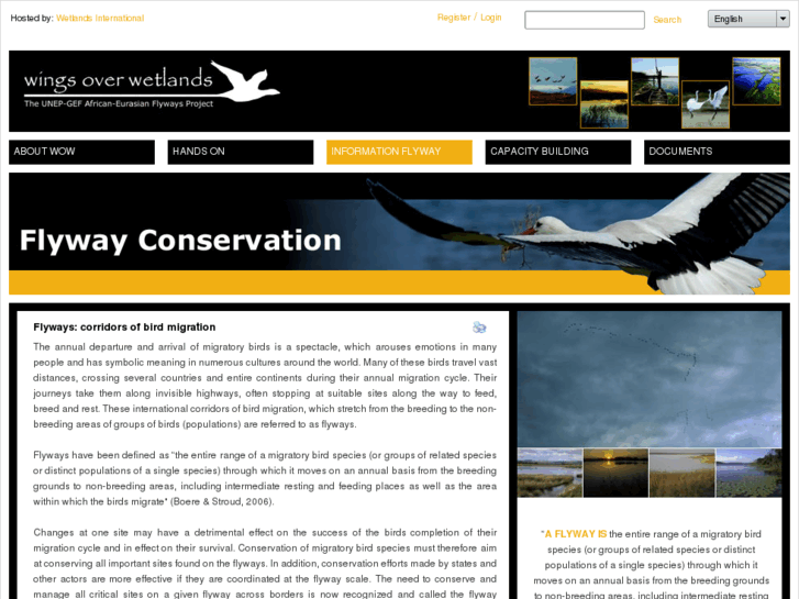 www.flywayconservation.org