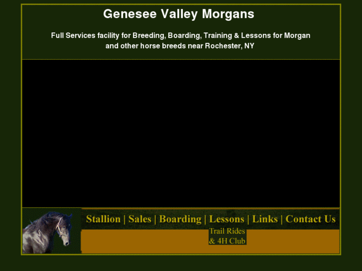 www.geneseevalleymorgans.com