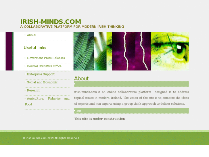 www.irish-minds.com