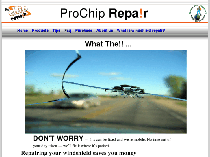 www.prochiprepair.com