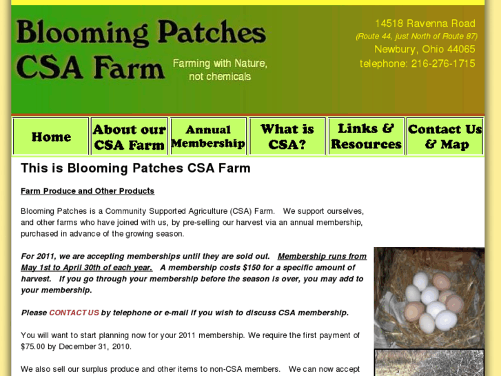 www.bloomingpatches.com