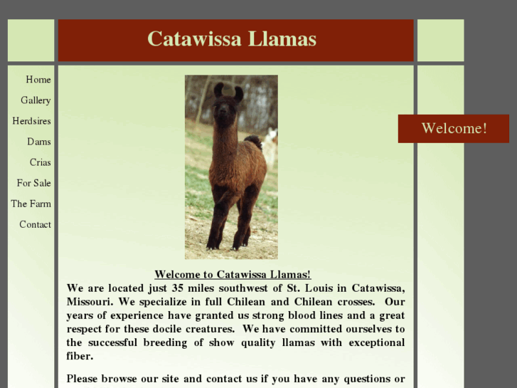 www.catawissallamas.com