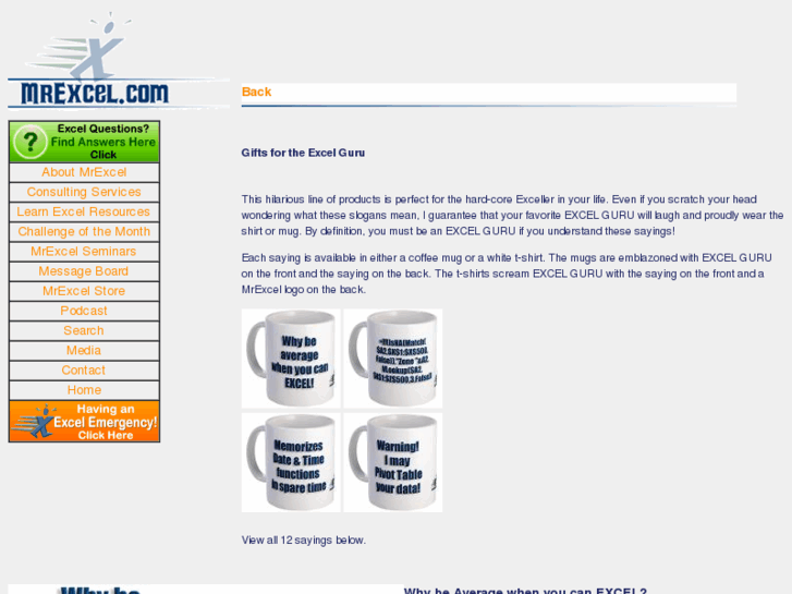 www.excelguru.net