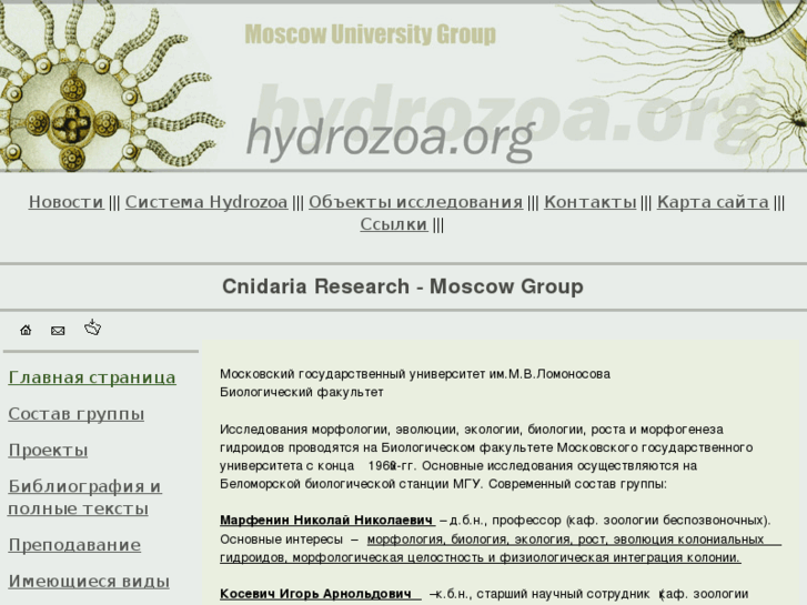 www.hydrozoa.org