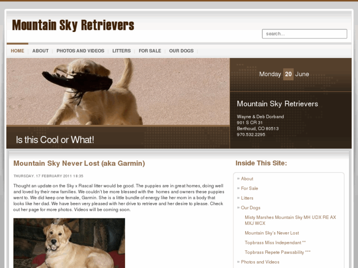 www.mountainskyretrievers.com