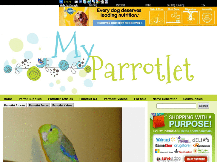 www.myparrotlet.net