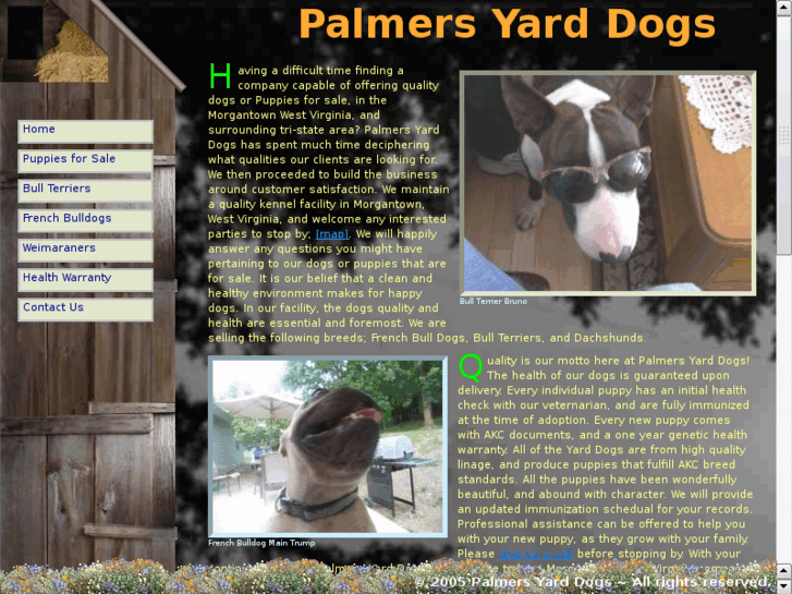 www.palmersyarddogs.com