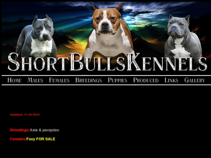 www.shortbullskennels.com